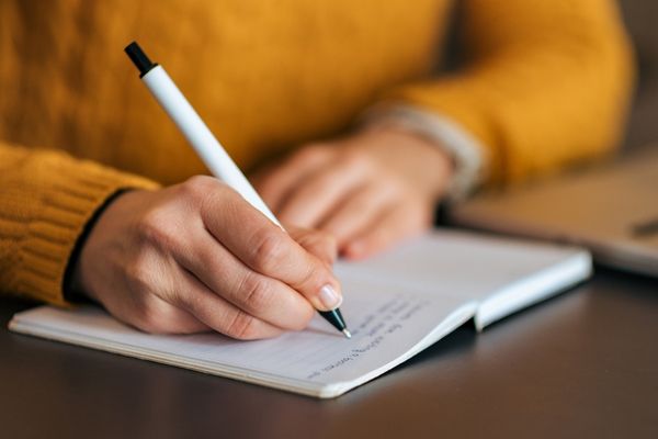 Canalización animal 🐰