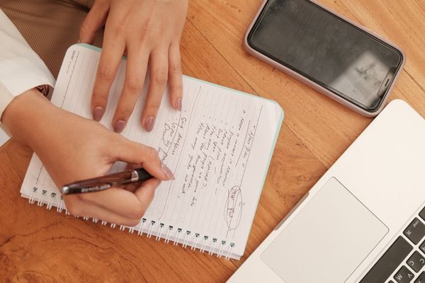 Limpieza, Armonización y Canalización Animal